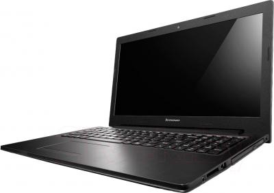 Ноутбук Lenovo G505SA (59412813) - общий вид