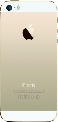 Смартфон Apple iPhone 5s 16GB / ME434 (золото) - задняя панель