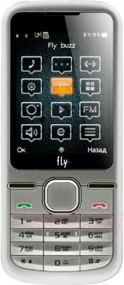 Мобильный телефон Fly DS123 (Silver-Black) - общий вид