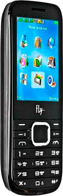 Мобильный телефон Fly TS107 (Black) - общий вид