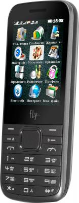 Мобильный телефон Fly TS107 (Silver) - общий вид