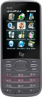 Мобильный телефон Fly TS110 (Silver) - общий вид