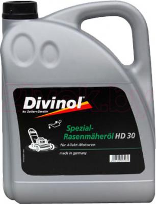 Моторное масло Divinol HD30 (1л) - общий вид