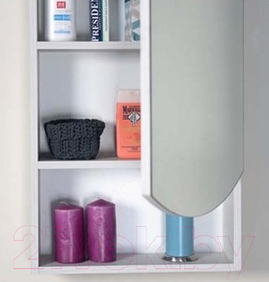 Шкаф с зеркалом для ванной Onika Селена 45.00 R (204505)