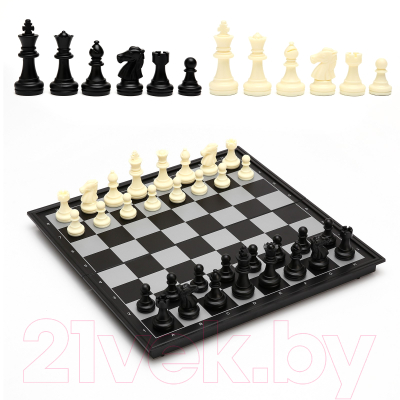 Набор настольных игр Sima-Land 3 в 1 Классика: шахматы, шашки, нарды, магнитная доска / 411298