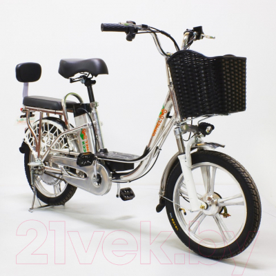 Электровелосипед Green Camel Транк-18 V2 (серебристый)