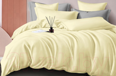 Комплект постельного белья LUXOR №11-0617 TPX Евро-стандарт (ваниль, сатин)