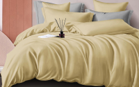 Комплект постельного белья LUXOR №14-1113 TPX 2.0 с европростыней (марципан, сатин) - 