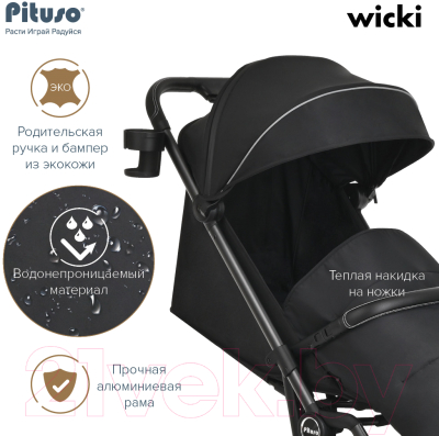 Детская прогулочная коляска Pituso Wicki / ABF2022 (черный)