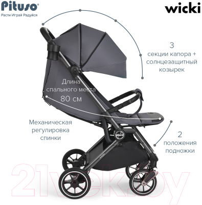 Детская прогулочная коляска Pituso Wicki / ABF2022 (графитовый)