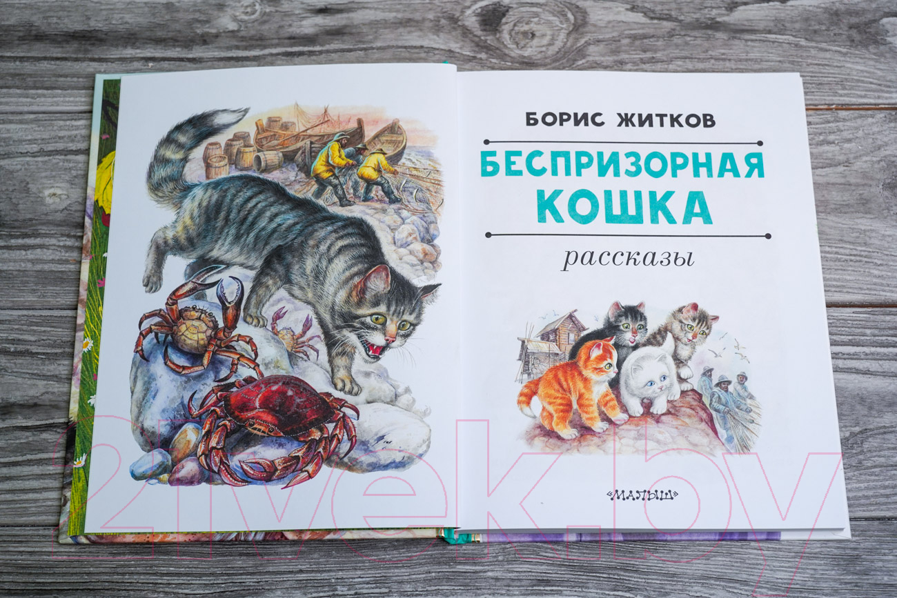Художественная книга АСТ Беспризорная кошка (Житков Б.С.) — фото 3