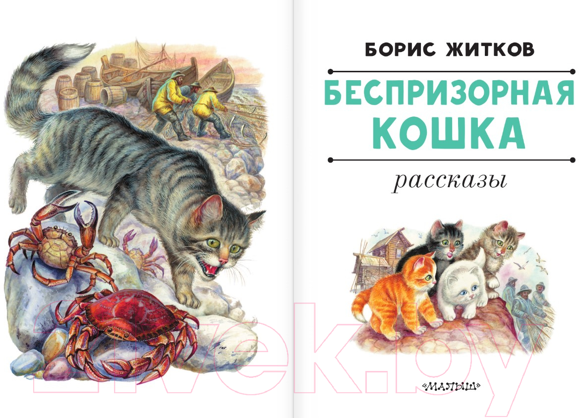 Художественная книга АСТ Беспризорная кошка (Житков Б.С.) — фото 5