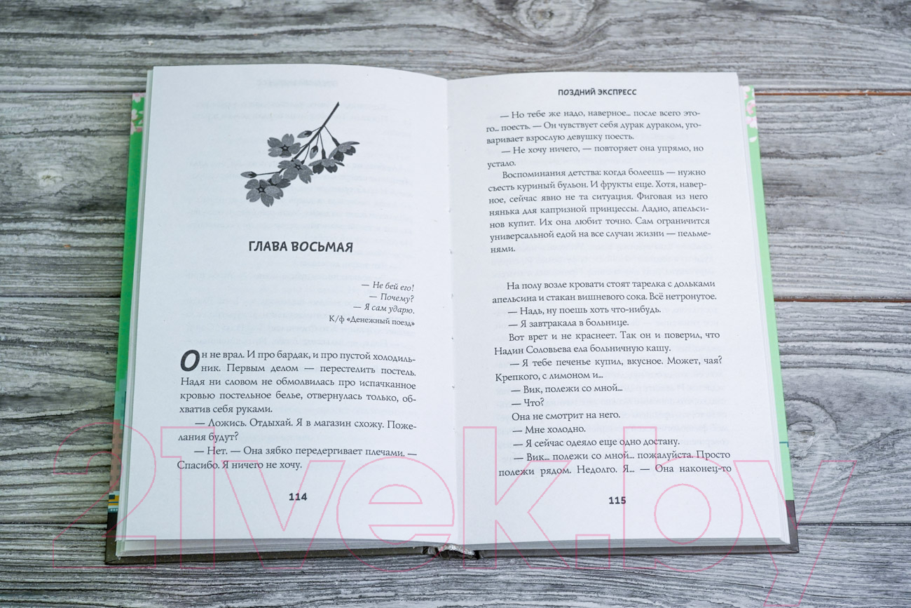 Художественная книга АСТ Поздний экспресс (Волкова Д.А.) — фото 2