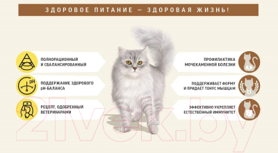 Сухой корм для кошек Деревенские лакомства Для кастрированных и стерилизованных с говядиной (0.4кг)