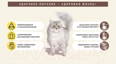 Сухой корм для кошек Деревенские лакомства Для поддержки иммунитета с говядиной (0.4кг)