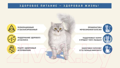 Сухой корм для кошек Деревенские лакомства Для кастрированных и стерилизованных с лососем (0.4кг)