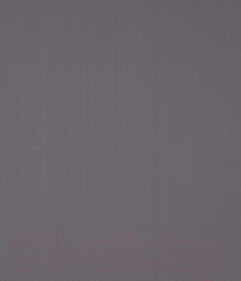 Рулонная штора LEGRAND Лайт 61.5x170 / 58123156 (темно-серый)