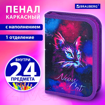 Пенал Brauberg Neon Cat / 271523