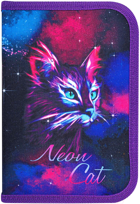 Пенал Brauberg Neon Cat / 271523