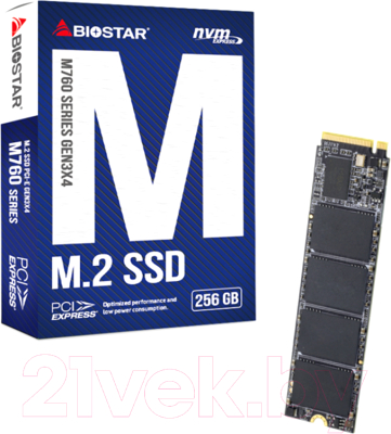 SSD диск Biostar M760 256GB