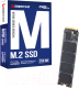 SSD диск Biostar M760 256GB - 