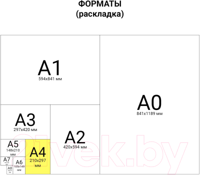 Бумага Brauberg А4 80 г/м2 / 112461 (100л, 5цв)