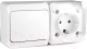 Блок выключатель+розетка Tokov Electric ОП Nix / TKE-NX-V1RZ-C01T-IP54 - 