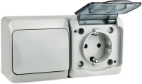 Блок выключатель+розетка Tokov Electric ОП Nix / TKE-NX-V1RZ-C06T-IP54 - 