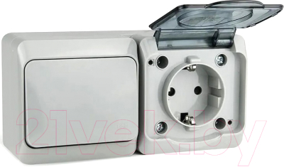 Блок выключатель+розетка Tokov Electric ОП Nix / TKE-NX-V1RZ-C06T-IP54