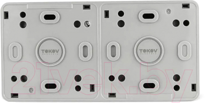 Блок выключатель+розетка Tokov Electric ОП Nix / TKE-NX-V1RZ-C06T-IP54