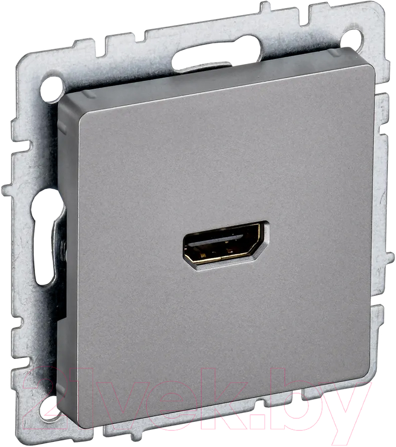 Розетка IEK Brite BR-H10-K46 (сталь)