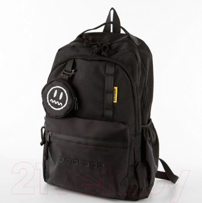 Рюкзак Ecotope 369-S203-BLK (черный)