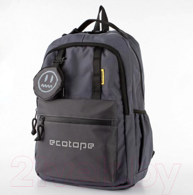 Рюкзак Ecotope 369-S203-DGR (серый)