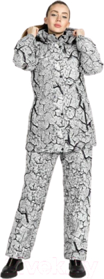 Комплект лыжной одежды Crodis Хаски / 11666 (р. 48-50/170-176)