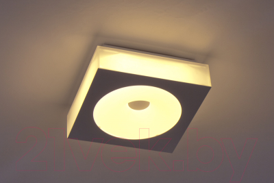 Потолочный светильник ESCADA 601/PL LED
