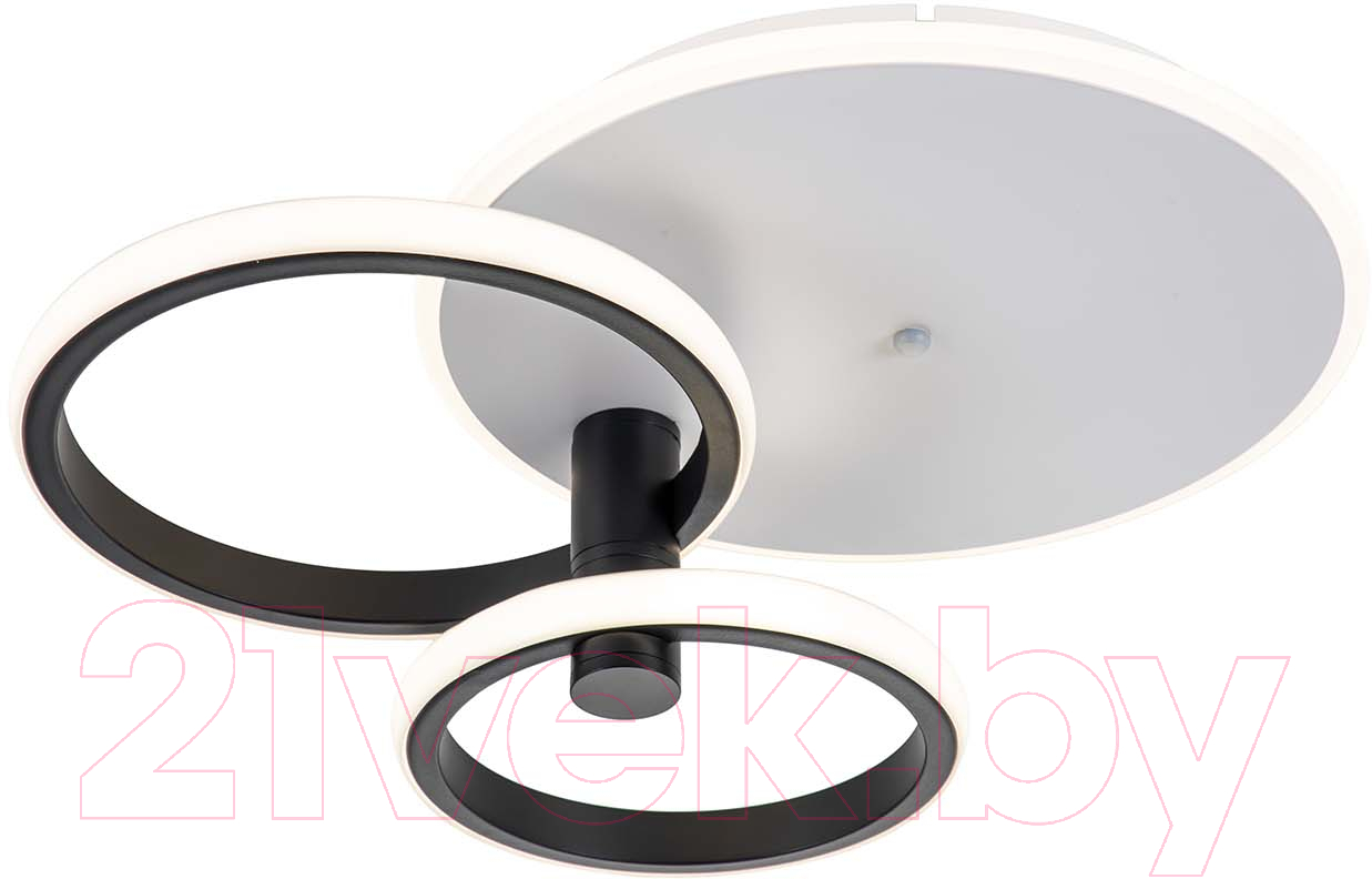 Потолочный светильник ESCADA 10213/2LED BL (белый/черный)