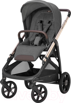 Детская прогулочная коляска Inglesina Aptica New / AG60Q0VLG (Velvet Grey)