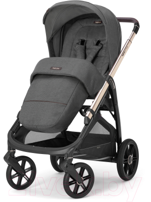 Детская прогулочная коляска Inglesina Aptica New / AG60Q0VLG (Velvet Grey)