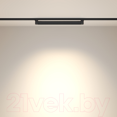 Трековый светильник Maytoni Points Rot TR010-1-20W3K-M-B