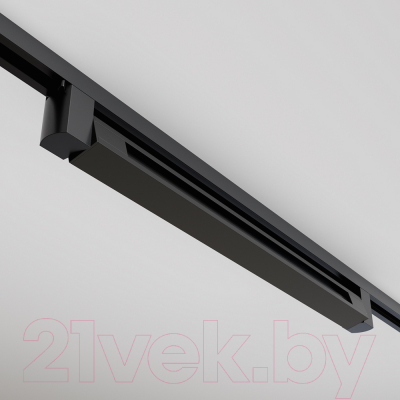 Трековый светильник Maytoni Points Rot TR010-1-20W3K-M-B