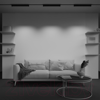 Трековый светильник Maytoni Points Rot TR010-1-20W3K-M-B