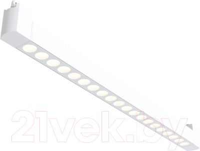 Трековый светильник Maytoni Points Rot TR010-1-20W3K-M-W