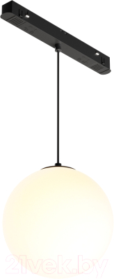 Трековый светильник Maytoni Luna TR039-2-5W3K