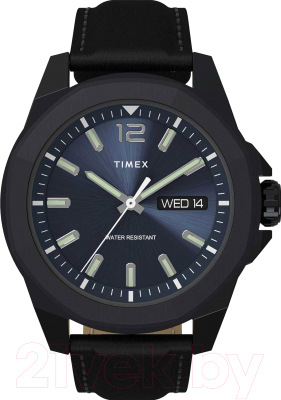 Часы наручные мужские Timex TW2V42900