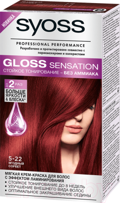 Крем-краска для волос Syoss Gloss Sensation 5-22 (ягодный сорбет)