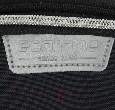 Школьный рюкзак Ecotope Kids Gamer / 057-22003/1-27-CLR (черный)
