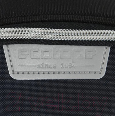 Школьный рюкзак Ecotope Kids Коты / 057-22003/1-33-CLR (черный)