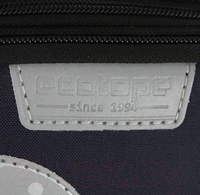 Школьный рюкзак Ecotope Kids Гарри / 057-540-159-CLR (Dark Color)