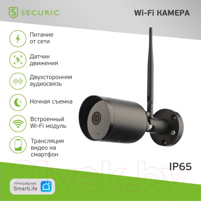 IP-камера Securic SEC-SF-101B