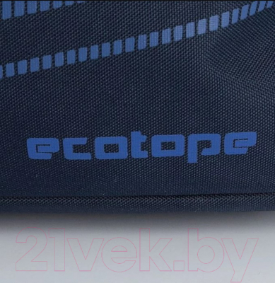 Сумка дорожная Ecotope 360-3037-NAV (синий)
